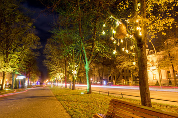 Die Potsdamer Hegelallee und der Radweg Nachts beim 2. Potsdamer Lichtspektakel