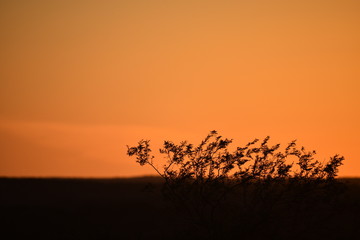 Orange Sunset Landscape