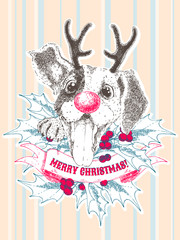 Merry Christmas greeting card. Happy beagle puppy with antler, holly brunches and berries.