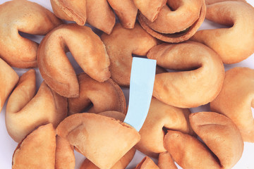 Fortune cookie with blank message