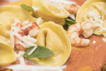 pasta, tortelini, plate, food, fresh, gourmet, white, italian