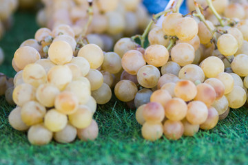 bunches of ripe green grapes