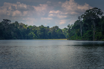 Manu National Park, Peru - August 07, 2017: Cocha Salvador in Manu National Park, Peru