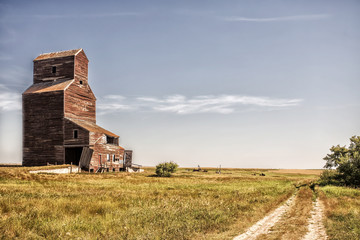 An abandoned old crumbling tall wooden grain storage elevator surrounded by agriculture crops in a desaturated rural countryside summer landscape © kat7213