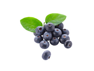 Blueberry on a white background.