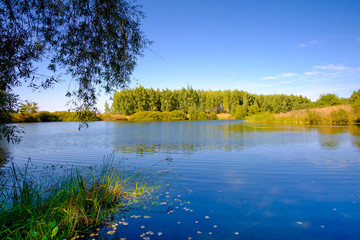 Ripples on the river