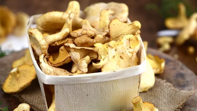 Portion of fresh Chanterelles (rotating on a wooden board) as detailed seamless loopable 4K UHD footage