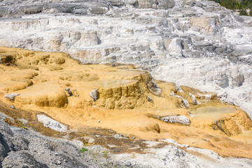 Mammoth Hot Springs. Northern entrance, Yellowstone Park, USA