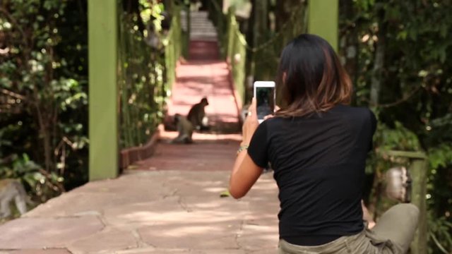 Girl takes picture of monkey, medium shot.