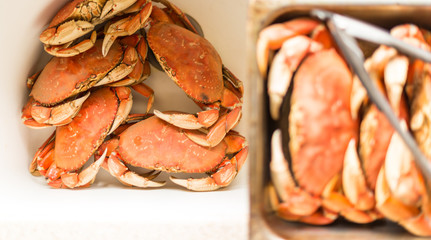 Crabs in a sink and pan ready for cleaning to eat