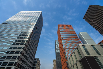 Obraz premium Perspective and directly below view of modern highrise.