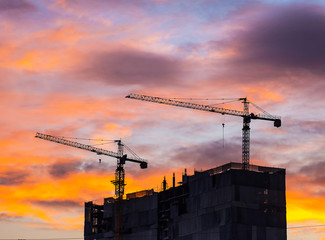 Industrial construction cranes and building silhouettes over sunset