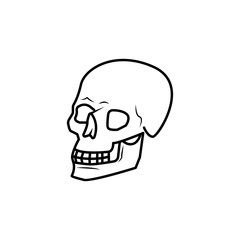 Skull vector icon. Body part element. Premium quality graphic design. Signs, outline symbols collection, simple thin line icon for websites, web design, mobile app, info graphics