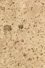 Grunge concrete texture, for backgrounds