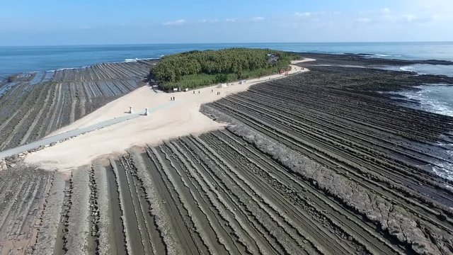 宮崎_青島2