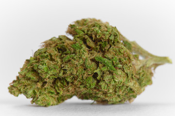 Close up of prescription medical marijuana flower Blood Orange strain isolated on white background