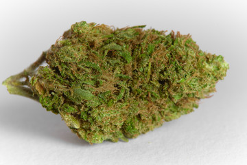 Close up of prescription medical marijuana flower Blood Orange strain isolated on white background