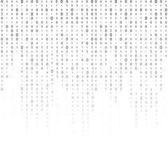 binary code zero one matrix white background. banner, pattern, wallpaper. Vector illustration