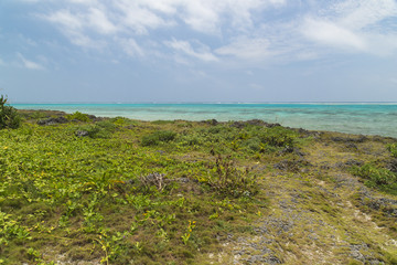 Fototapeta na wymiar 黒島（沖縄県竹富町）の風景