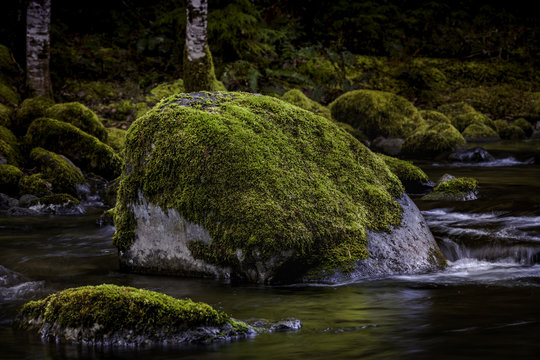 Silent Stream