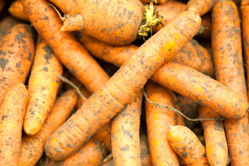 Carrots background texture of Carrots , seasoning Carrots , Carrots for sale,