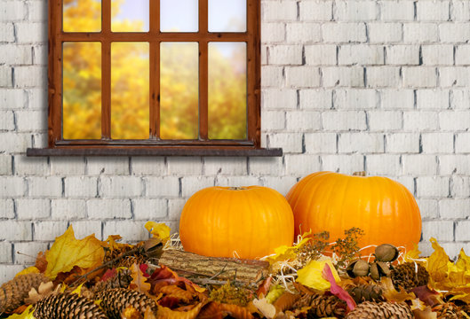 Festive still life with pumpkins on autumn leaves on brick wall background for Thanksgiving