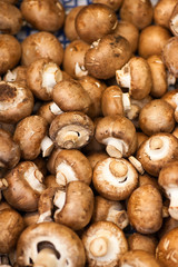 CHAMPIGNONS background texture Fresh champignons. Champignon mushrooms background for sale