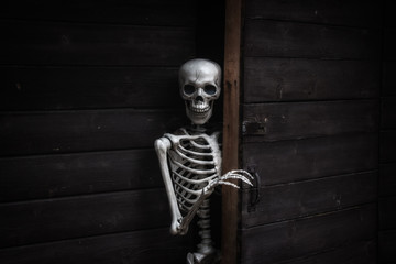 Fototapeta na wymiar Skeleton answering the door of an old wooden home.