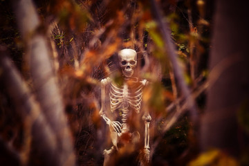 A skeleton among trees in a rural autumn scene.
