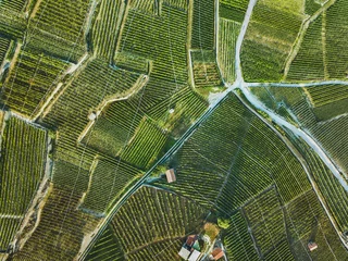 Deurstickers prachtig luchtlandschap van wijngaarden, bovenaanzicht van druivenplantage © Song_about_summer