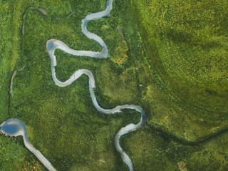 aerial landscape of winding river in green field, top view of beautiful nature texture from drone