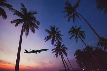 airplane taking off from airport in tropical country, silhouette of plane in the sky with exotic palm trees