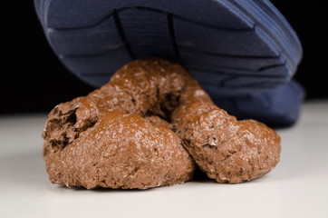 Stepping into dog poo