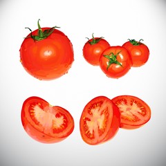 Tomato
