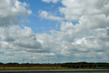Fototapeta premium Windräderpark in Mecklenburg Vorpommern, Deutschland