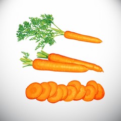 Carrot