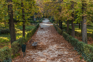Park in autumn