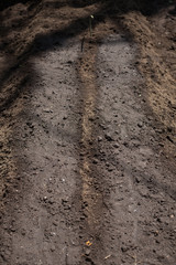 Watering after planting seeds on farm