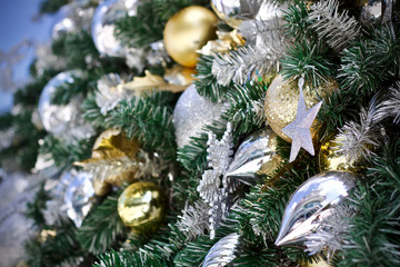 Merry Christmas tree winter holiday 