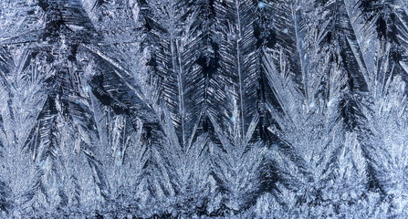 winter card, frosty pattern on glass
