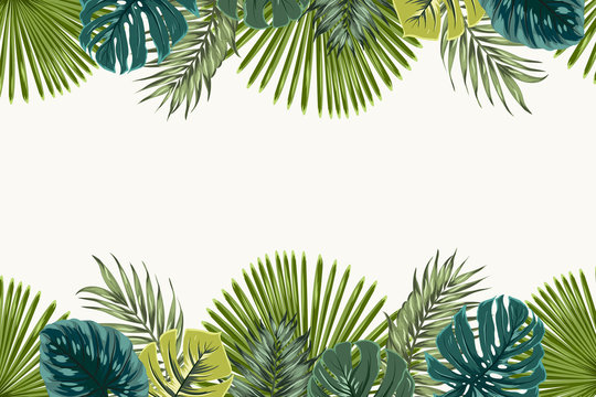 Exotic tropical jungle rainforest bright green navy turquoise palm tree and monstera leaves border frame template on white background. Horizontal landscape aspect ratio. Vector design illustration.