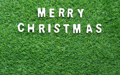 Christmas alphabet on green grass