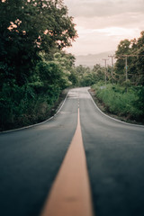 Fototapeta premium Forest road