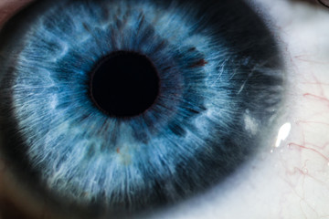 An enlarged image of eye with a blue iris, eyelashes and sclera. the shot is made by a slit lamp with a built-in camera