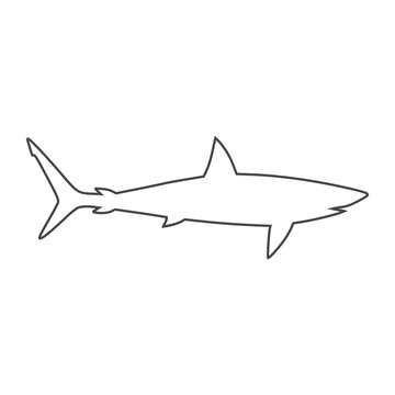 Line Shark sign, Shark icon