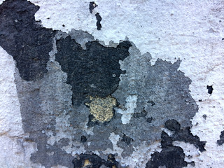  grunge, texture, background, wall, design, black, urban, brick, white, old, abstract, rough,...