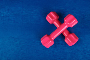 Pink Dumbbell on Pilates Yoga Mat