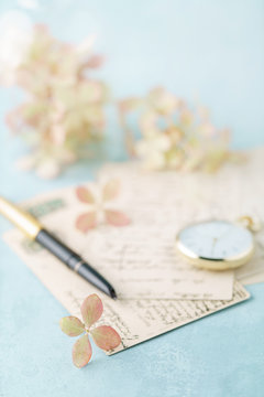 vintage cards and hydrangea flowers