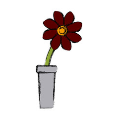 Flower in vase