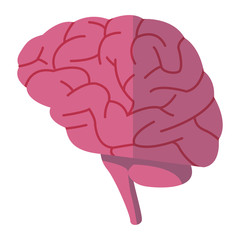 Human brain symbol